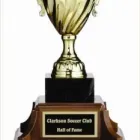 Business 9 image WILSON TROPHY CO INC Shopping in Mississauga ON