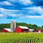 Entreprises 3 image WOODEN LADDER CONSULTING Industries & Agriculture dans Aurora ON
