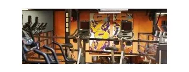 Business 5 image 99 SUDBURY THE GYM Weight Control Services & Clinics in Toronto ON