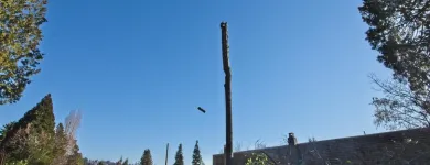 Business 4 image A B C TREE MEN Tree Work & Forestry Services in Burnaby BC