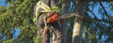 Business 6 image A B C TREE MEN Tree Work & Forestry Services in Burnaby BC