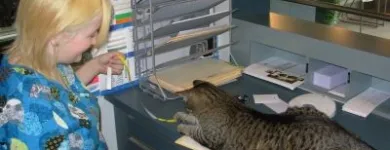 Business 5 image ANIMAL MEDICAL CENTRE EDMONTON LTD Veterinarians in Edmonton AB