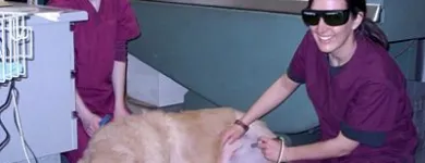 Business 6 image ANIMAL MEDICAL CENTRE EDMONTON LTD Veterinarians in Edmonton AB