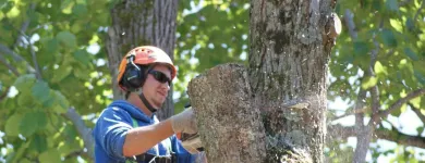 Business 4 image AP TREE SERVICE Tree Work & Forestry Services in Bowmanville ON