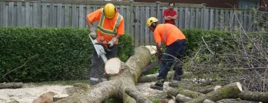 Business 6 image AP TREE SERVICE Tree Work & Forestry Services in Bowmanville ON