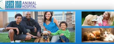 Entreprises 3 image ASHER ROAD ANIMAL HOSPITAL Veterinarians dans Kelowna BC
