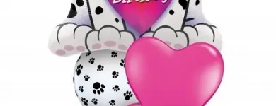 Business 9 image BALLOON PLACE Shopping in Richmond BC