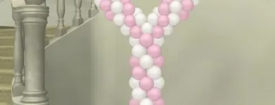 Business 16 image BALLOON PLACE Shopping in Richmond BC