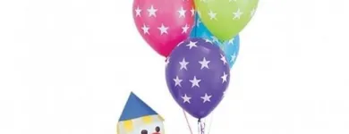 Business 24 image BALLOON PLACE Shopping in Richmond BC