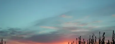 Business 1 image BEESUM COMMUNICATIONS T-shirt & Garment Printing in Montréal QC