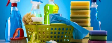 Entreprises 4 image BORGY'S CLEANING SERVICES Cleaning Services dans Saskatoon SK