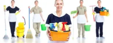 Entreprises 1 image BORGY'S CLEANING SERVICES Cleaning Services dans Saskatoon SK