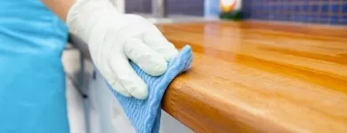 Entreprises 2 image BORGY'S CLEANING SERVICES Cleaning Services dans Saskatoon SK