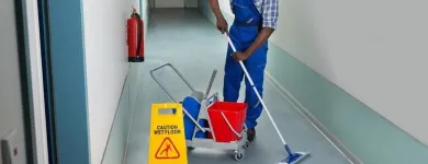 Entreprises 5 image BORGY'S CLEANING SERVICES Cleaning Services dans Saskatoon SK