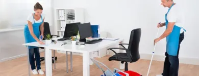 Entreprises 6 image BORGY'S CLEANING SERVICES Cleaning Services dans Saskatoon SK