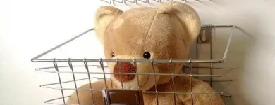 Business 6 image CHICKADEE DECOR Real Estate & Home Improvement in Coquitlam BC