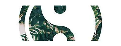 Entreprises 2 image CJR ACUPUNCTURE Health & Wellness Centres dans Kelowna BC