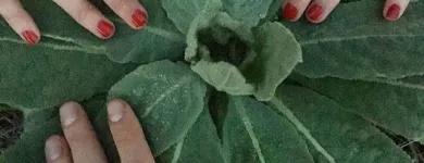 Entreprises 1 image CJR ACUPUNCTURE Health & Wellness Centres dans Kelowna BC