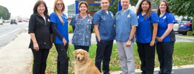 Entreprises 2 image CLINIQUE VÉTÉRINAIRE FABREVILLE Veterinarians dans Laval QC