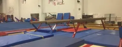 Business 1 image CLUB DE GYMNASTIQUE LES SITTELLES Sports & Recreation in Orléans ON