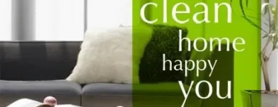 Business 8 image CUSTOM MAIDS INCORPORATED Window Cleaners in Toronto ON