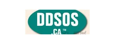 Entreprises 1 image DD'S ON SITE!™ travel & tourism dans Edmonton AB