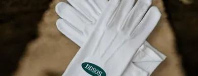 Entreprises 3 image DD'S ON SITE!™ travel & tourism dans Edmonton AB