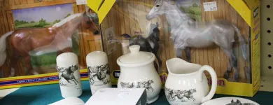 Entreprises 1 image DIAMOND H TACK INC Sports & Recreation dans Kelowna BC