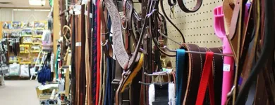 Entreprises 4 image DIAMOND H TACK INC Sports & Recreation dans Kelowna BC