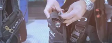 Business 8 image DIVE WORLD Sports & Recreation in Toronto ON