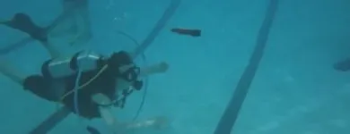 Business 11 image DIVE WORLD Sports & Recreation in Toronto ON