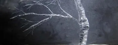 Business 3 image DREAMZ GALLERY Museums & Art Galleries in Brampton ON