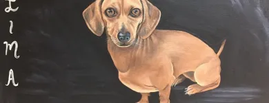 Business 5 image DREAMZ GALLERY Museums & Art Galleries in Brampton ON