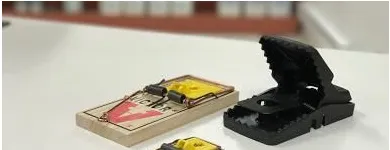 Entreprises 6 image EXTERMINATEURS ASSOCIÉS INC. Pest & Vermin Control dans Montréal QC