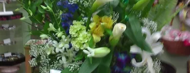 Business 4 image FLEURISTE FLORAMICALE Shopping in Montréal QC