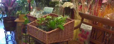 Business 9 image FLEURISTE FLORAMICALE Shopping in Montréal QC