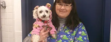 Entreprises 3 image GUILDWOOD VILLAGE ANIMAL CLINIC Veterinarians dans Scarborough ON