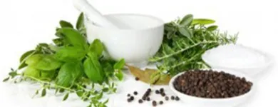 Entreprises 4 image HOLY FAMILY WELLNESS CENTRE INC Physiotherapists dans Mississauga ON