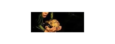 Entreprises 4 image INDIAN ASTROLOGER IN TORONTO ONTARIO CANADA Clairvoyants & Psychics dans Toronto ON