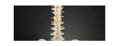 Entreprises 8 image INNOVATION PHYSICAL THERAPY Physiotherapists dans Edmonton AB