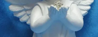 Entreprises 4 image INNOVATIVE HOME Wedding Supplies & Services dans Scarborough ON