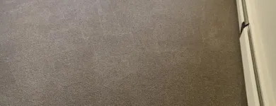Business 1 image JUPITER CARPET CLEANING Carpet, Curtain & Upholstery Cleaners in Edmonton AB