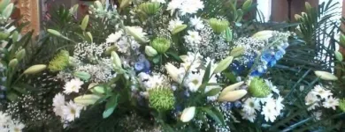 Business 3 image KEVIN J BLANEY FLORIST Shopping in Kingston ON