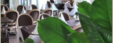 Business 9 image LA SCALA RESTAURANT Restaurants in Mississauga ON