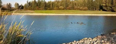 Entreprises 15 image LEWIS ESTATES GOLF COURSE Sports & Recreation dans Edmonton AB