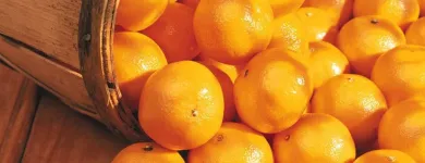 Business 5 image LOBLAWS Supermarkets in Toronto ON