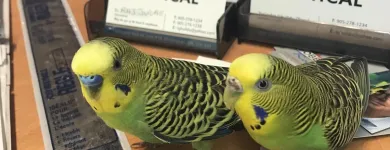 Business 1 image LORNE PARK OPTICAL Ophthalmologists, Optometrists & Opticians in Mississauga ON