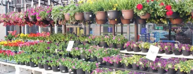Entreprises 2 image LOWE'S HOME IMPROVEMENT Shopping dans Lethbridge AB