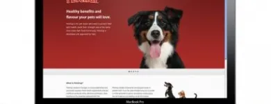 Entreprises 11 image MYSTIQUE BRAND COMMUNICATIONS Web Design & Development dans North York ON