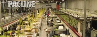 Entreprises 4 image PACLINE CORPORATION Industries & Agriculture dans Mississauga ON